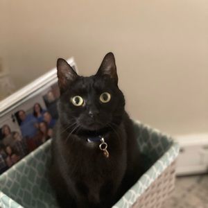 Meet your Posher, Jaclyn